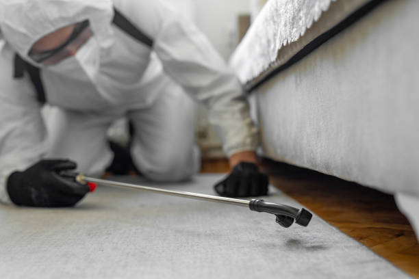Professional Bed Bug Control technician working in Meridian Hills, IN