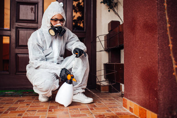 Reliable Bed Bug Control contractor in Meridian Hills, IN by Nex Pest Control