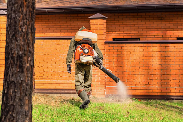 Trusted Bed Bug Control service in Meridian Hills, IN - Nex Pest Control